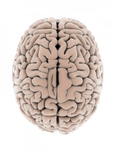 hemispheres hemispheres
